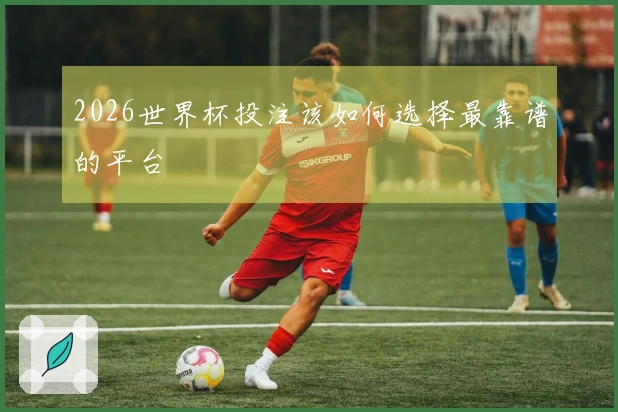 2026世界杯投注该如何选择最靠谱的平台