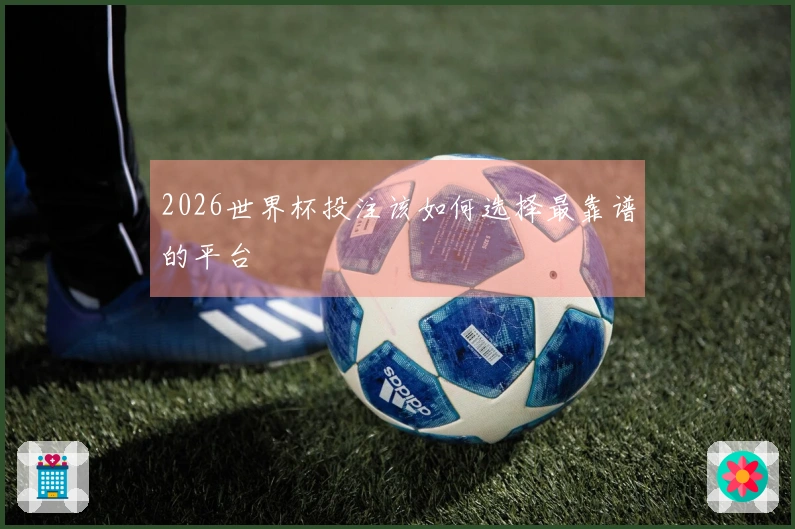 2026世界杯投注该如何选择最靠谱的平台