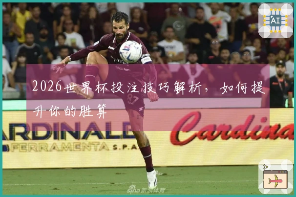 2026世界杯投注技巧解析，如何提升你的胜算