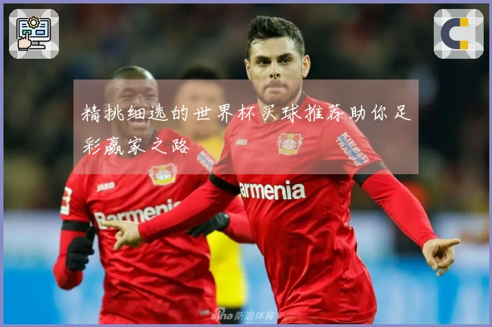 精挑细选的世界杯买球推荐助你足彩赢家之路