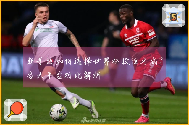 新手该如何选择世界杯投注方式？各大平台对比解析
