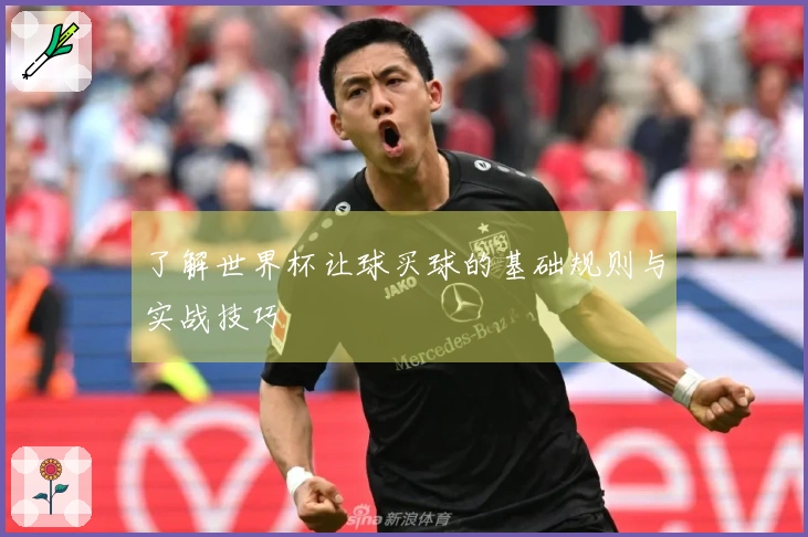 了解世界杯让球买球的基础规则与实战技巧
