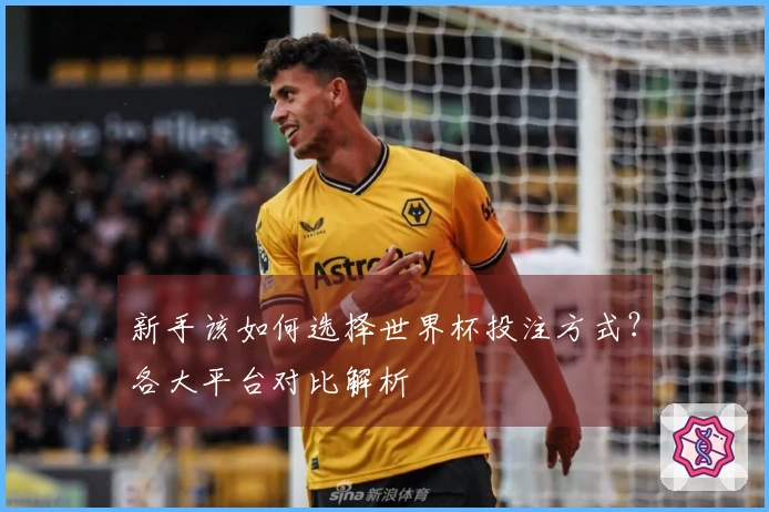 新手该如何选择世界杯投注方式？各大平台对比解析