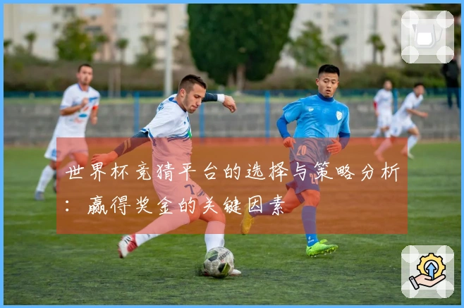 世界杯竞猜平台的选择与策略分析：赢得奖金的关键因素