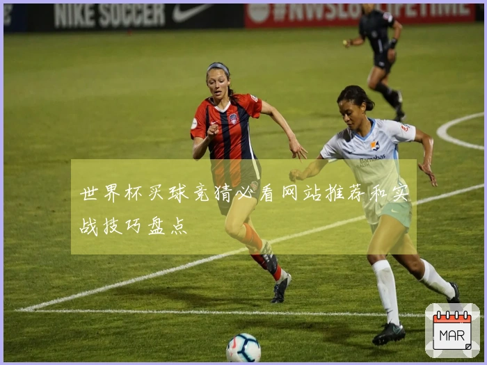 世界杯买球竞猜必看网站推荐和实战技巧盘点