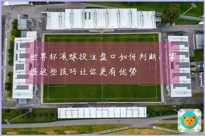 世界杯滚球投注盘口如何判断，掌握这些技巧让你更有优势