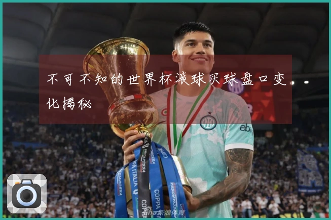 不可不知的世界杯滚球买球盘口变化揭秘